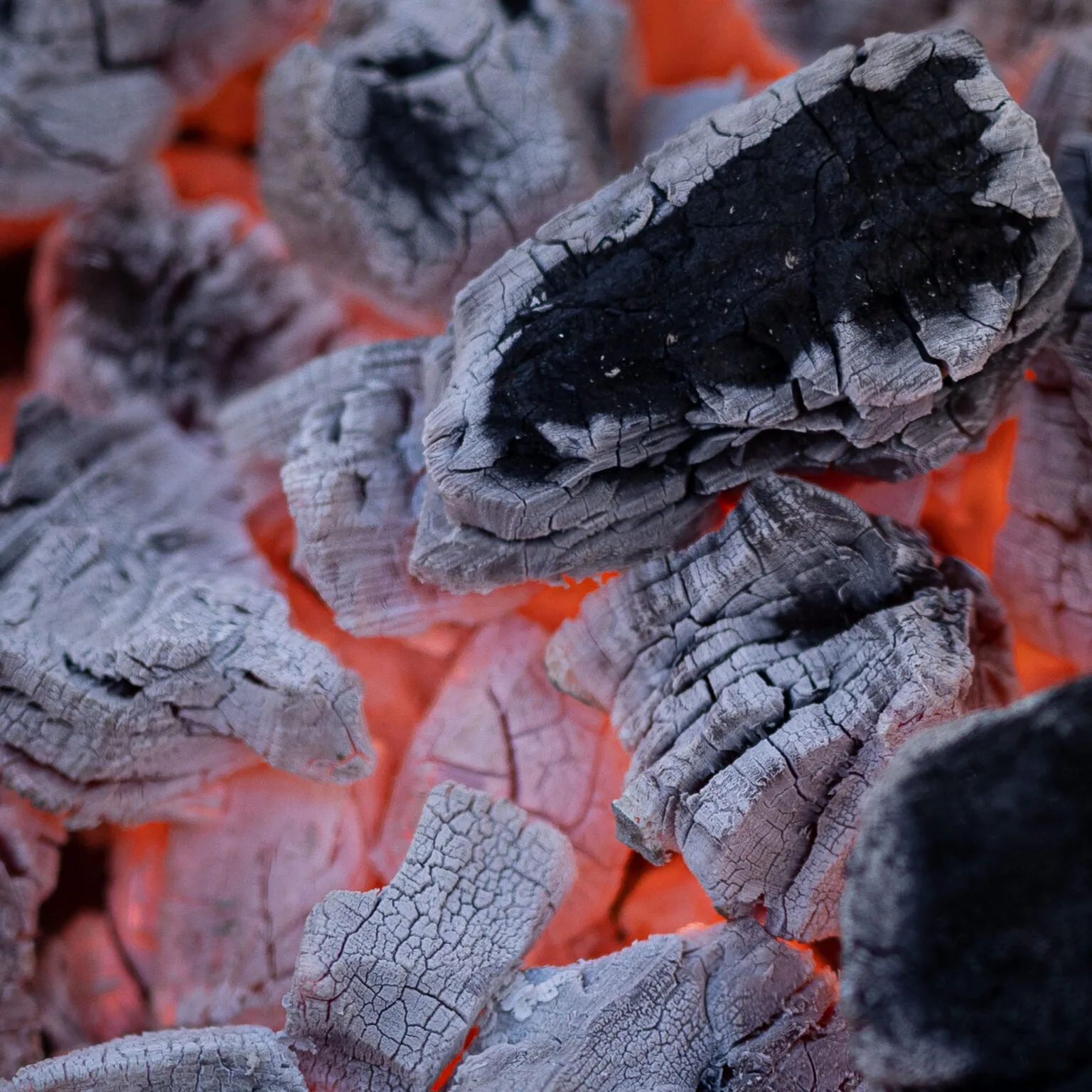 Close-up of glowing charcoal embers